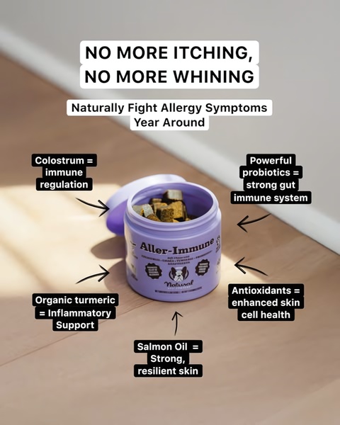 A clean, informative ad creative featuring a jar of dog supplements with lines pointing to specific ingredients and their health benefits for pets.